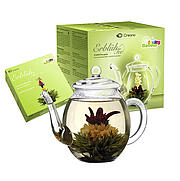 Coffret cadeau Creano "BloomingTea" Thé vert et théière en verre 0,5 l