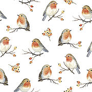 Robin family, napkins